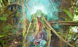 Ayahuasca Deneyimi ve Perde Arkasındaki Varlığımız