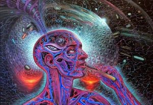 DMT ve Zaman Algısı Üzerindeki Etkileri